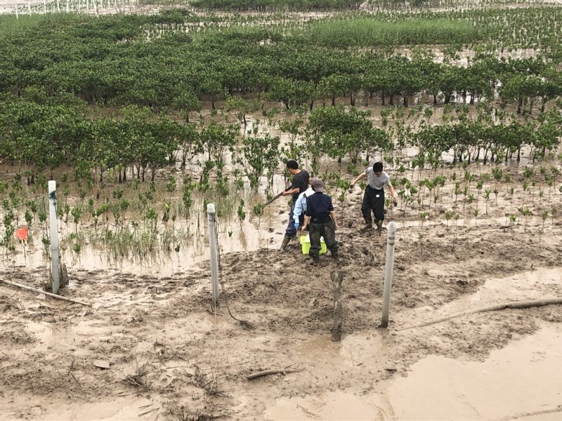 需要原文时请核对应栏目发布页